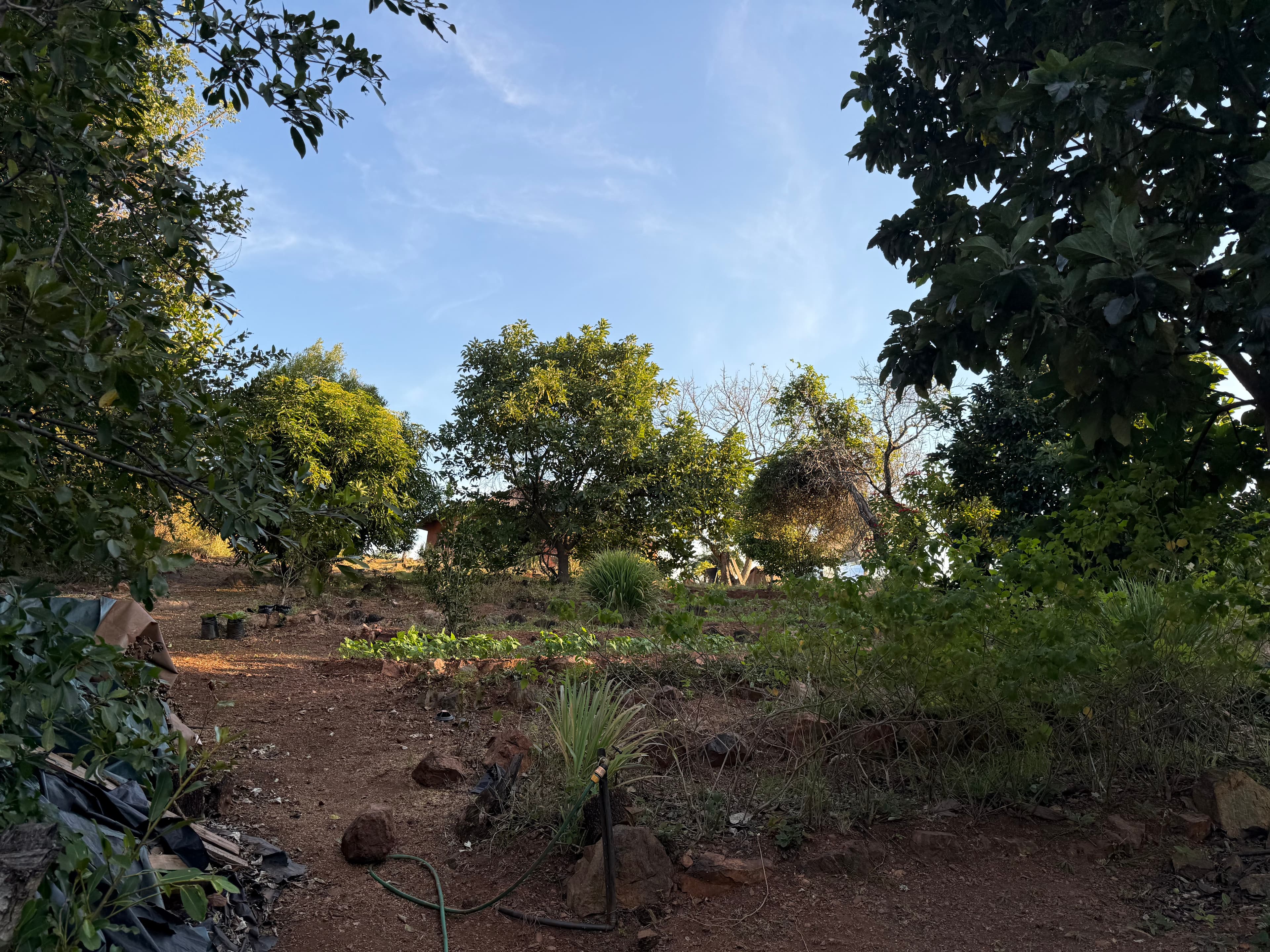 Permaculture Immersion
